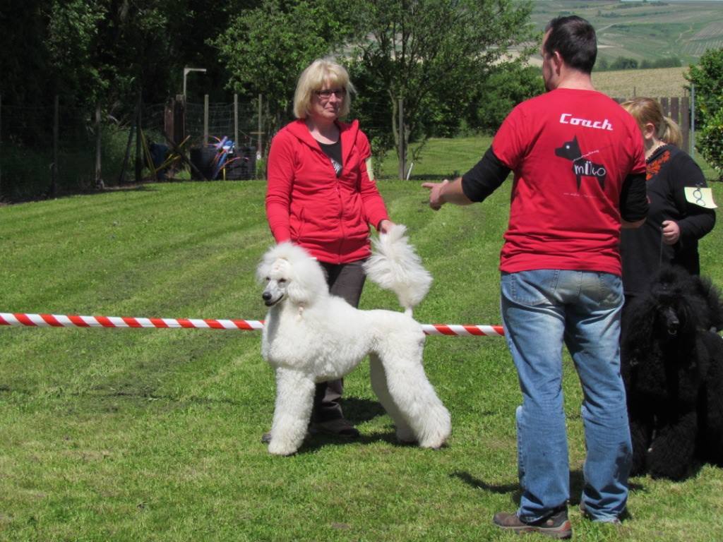 wir nehmen uns die Zeit für sie und ihren Liebling